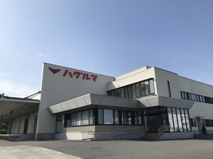 今日の風景