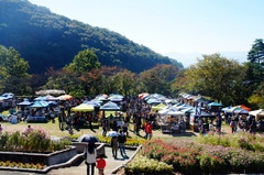 福市報告♪ 福市報告♪
