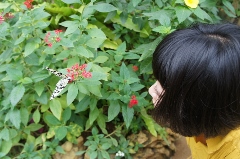沖縄記〜その3〜 沖縄記〜その3〜