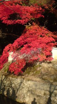 あっという間な１０日間