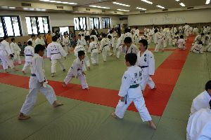 和歌山市少年柔道大会の様子