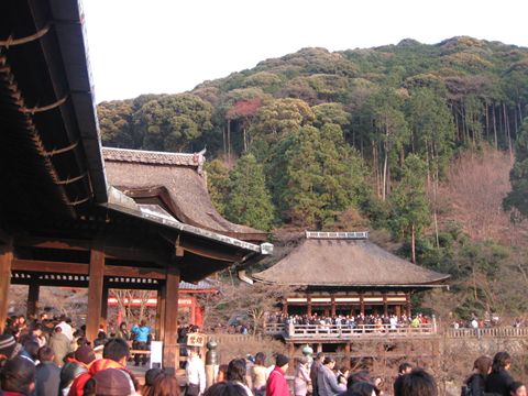今夏、地元開催全国中学校柔道大会