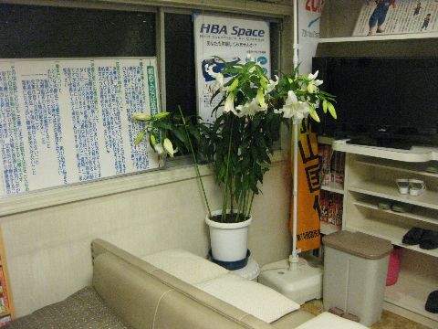 お花頂きました