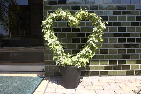 花・花