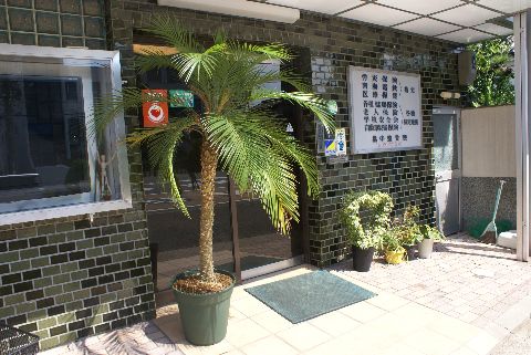花・花