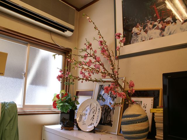 今日の花見