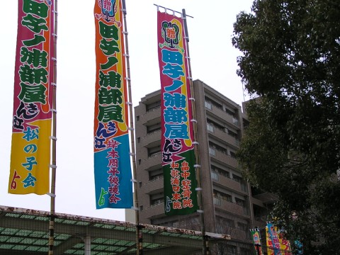 田子の浦部屋頑張って下さい
