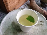 雨の森ひだ