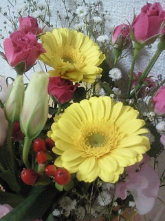 お花♪