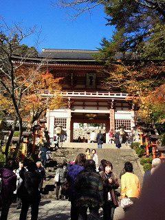 紅葉