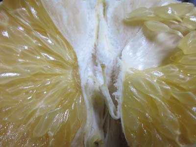 2013020810