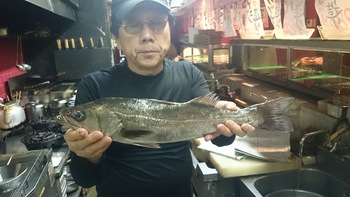 和歌山の自慢のお魚をでひ食べに来てください、