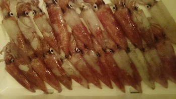 先ほどのブログの続きですよ♪
