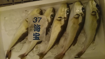 先ほどのブログの続きですよ♪