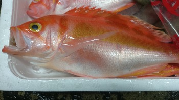 和歌山の美味しいお魚を食べに来て下さいね♪