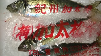 新鮮で美味しいお魚をいろは劇場に食べに来て下さいね♪