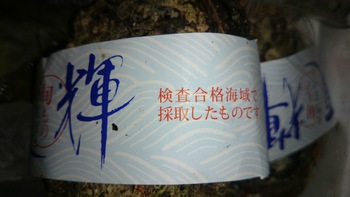 今日のいろは劇場は大漁ですよ♪