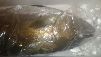 今日もご来店心からお待ちしておりますよ♪