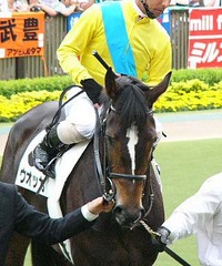 年末のお楽しみ♪