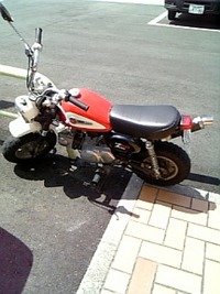 Monkey