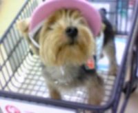お・で・か・け〜シマショ(^^)Y☆