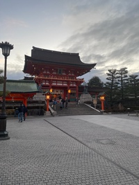 来年