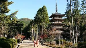 2019年7月22日 2019年7月22日