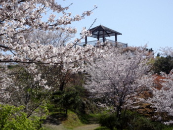花見