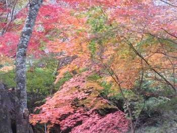 早くも冬支度