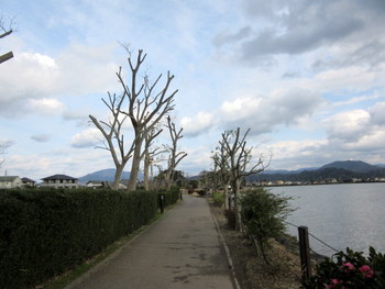 見違える程に