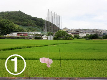 タカのかかし