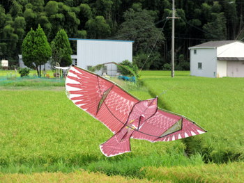 間近い