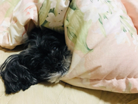 震えて怒る