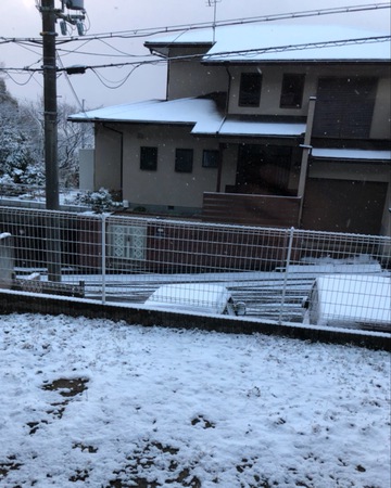 雪〜♪