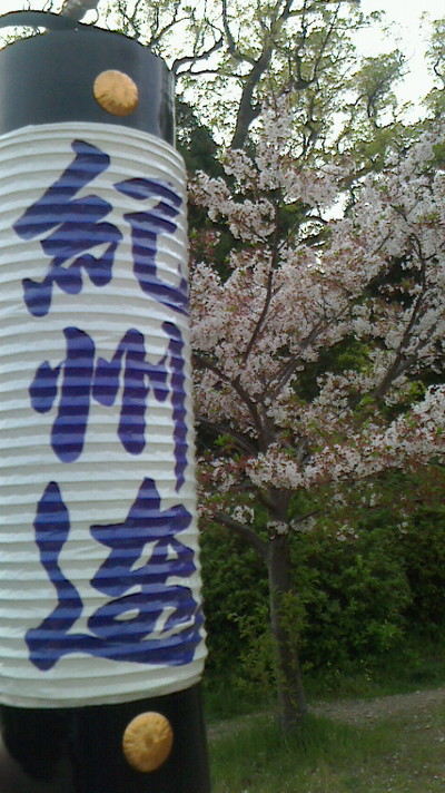 和歌山城・桜