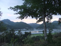熊野川が見えた！