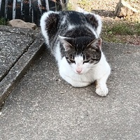 減った減った