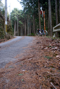 サイクリングに行ってきました。