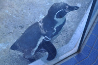 鳥羽水族館
