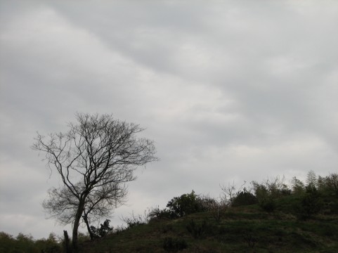 冬空