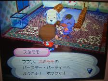 どうぶつの森 1