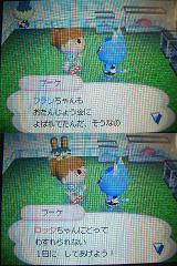 14日の森は・・・