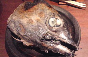 突き出し 本ヨコワのカブト焼き