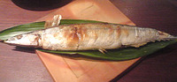 美味しい秋刀魚 2009/07/31 10:04:23