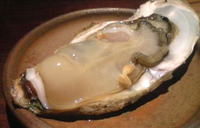 生牡蠣 2009/04/27 14:19:20