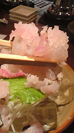 ハモの焼霜