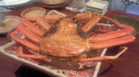 かに〜〜〜！ 2008/09/30 09:41:43