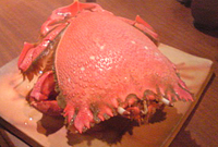 アサヒガニ 2008/11/13 10:21:56