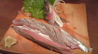 大うるめいわし刺身 2008/11/14 15:00:00
