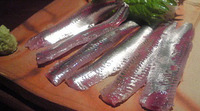 いわし刺身 2008/12/16 15:00:00